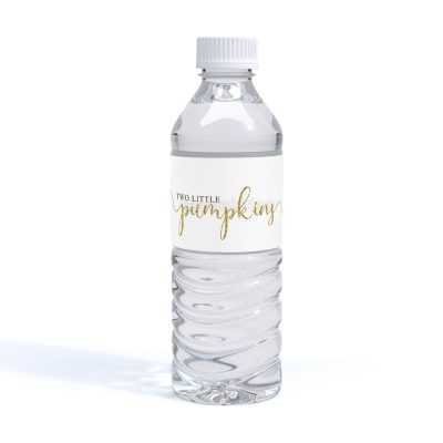 ΠΕΡΙΤΥΛΙΓΜΑ ΓΙΑ ΝΕΡΟ – TS287