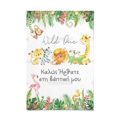 ΚΑΡΤΟΛΙΝΟ ΒΑΠΤΙΣΗΣ-TS262