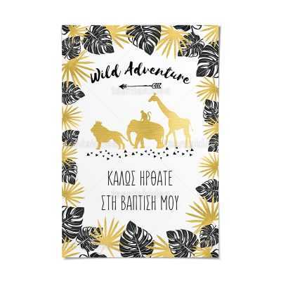 ΚΑΡΤΟΛΙΝΟ ΒΑΠΤΙΣΗΣ-TS129