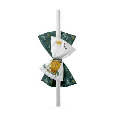 ΥΦΑΣΜΑΤΙΝΟ ΣΕΤ ΣΤΟΛΙΣΜΟΥ ΛΑΜΠΑΔΑΣ – TS559