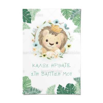 ΚΑΡΤΟΛΙΝΟ ΒΑΠΤΙΣΗΣ-TS430