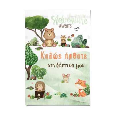 ΚΑΡΤΟΛΙΝΟ ΒΑΠΤΙΣΗΣ-TS433