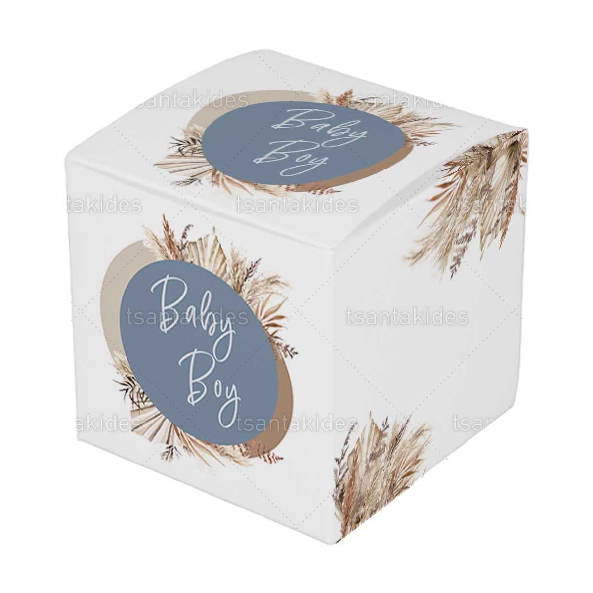 ΚΟΥΤΙ ΚΤ30 – TS423