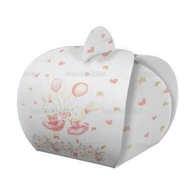 ΚΟΥΤΙ ΚΤ54 – TS456