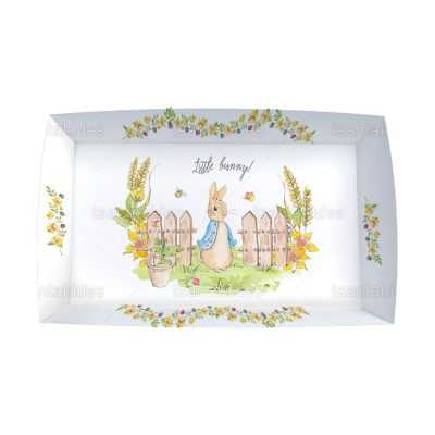 ΚΟΥΤΙ ΚΤ60 – TS417