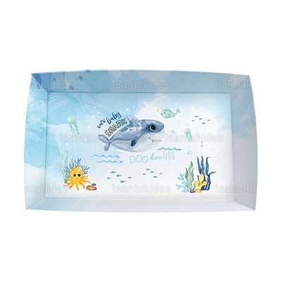 ΚΟΥΤΙ ΚΤ60 – TS432