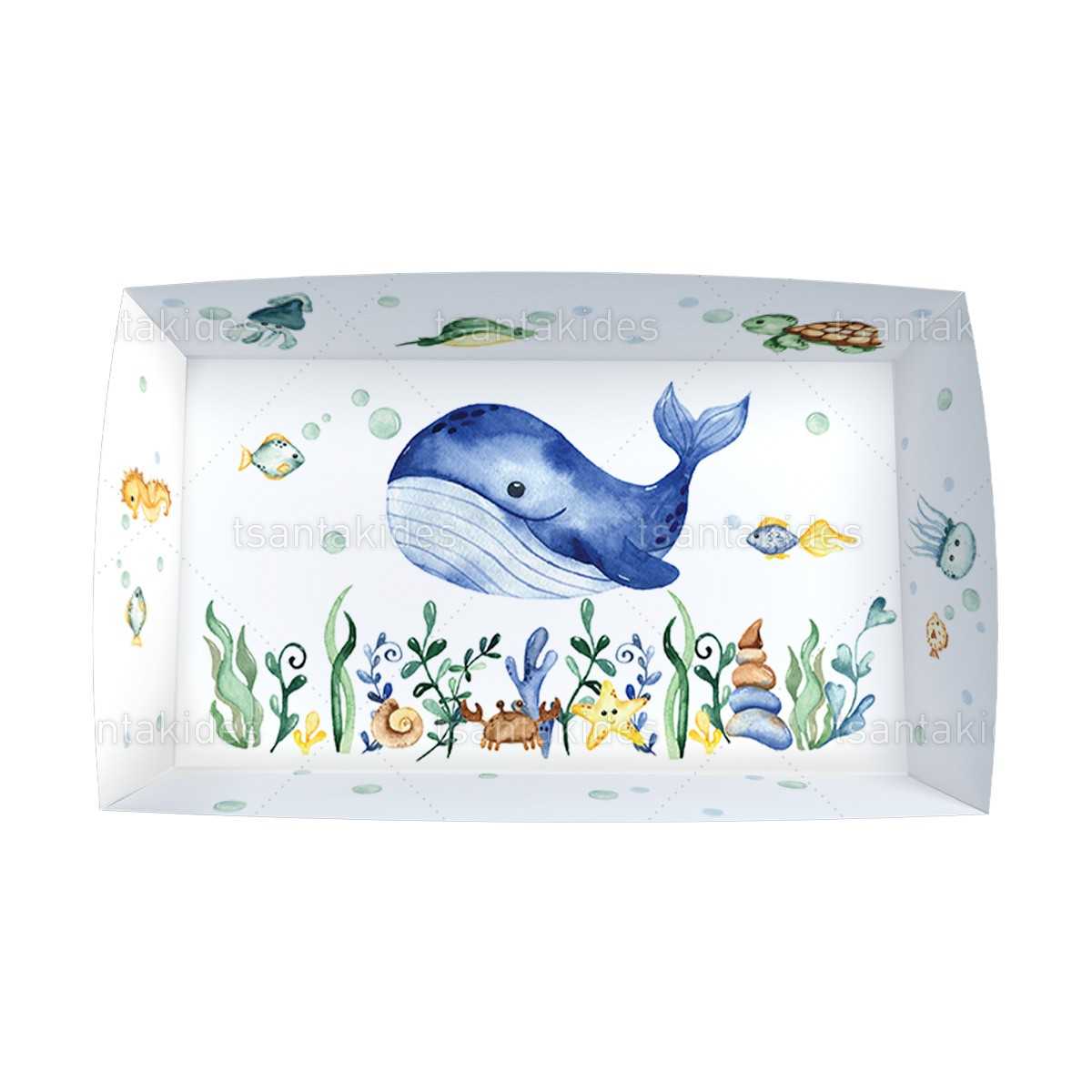 ΚΟΥΤΙ ΚΤ60 – TS564