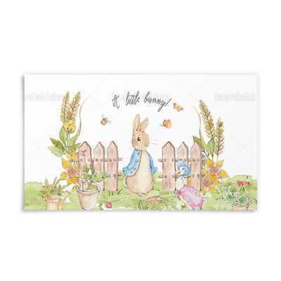 ΠΕΡΙΤΥΛΙΓΜΑ ΓΙΑ ΣΑΠΟΥΝΟΦΟΥΣΚΕΣ – TS417