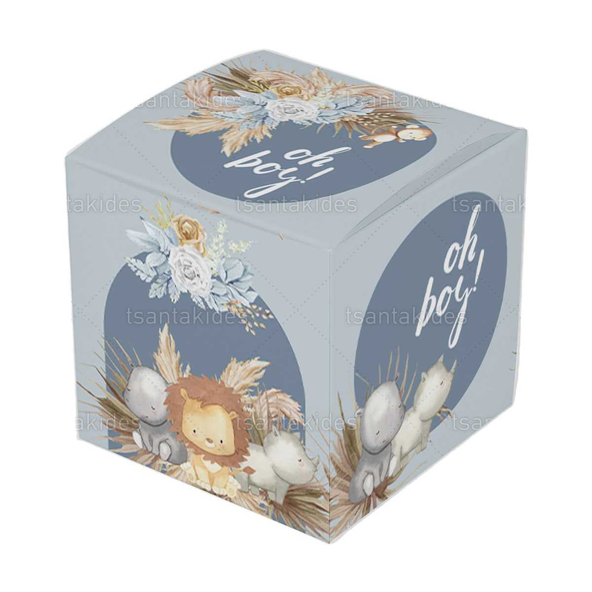 ΚΟΥΤΙ ΚΤ30 – TS553