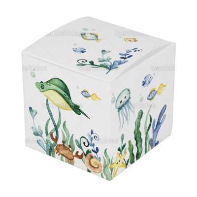 ΚΟΥΤΙ ΚΤ30 – TS564