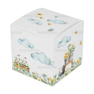 ΚΟΥΤΙ ΚΤ30 – TS582