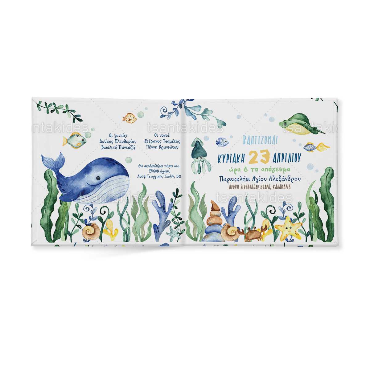 ΠΡΟΣΚΛΗΤΗΡΙΟ ΣΚΛΗΡΟ ΚΑΠΑΚΙ ΜΙΚΡΟ ΠΑΡΑΜΥΘΑΚΙ – TS564