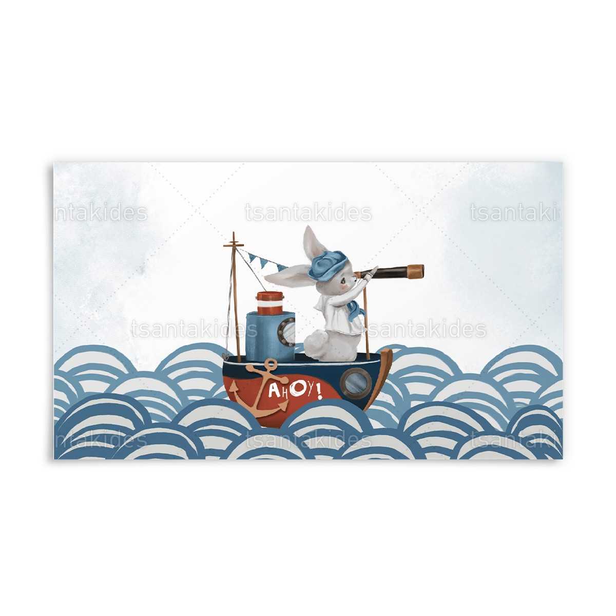 ΕΤΙΚΕΤΑ ΓΙΑ ΣΑΠΟΥΝΟΦΟΥΣΚΕΣ – TS565