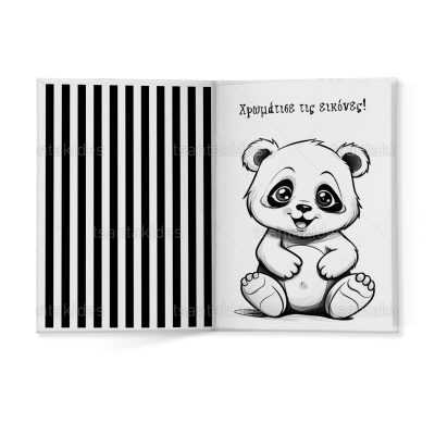 ΣΚΛΗΡΟ ΚΑΠΑΚΙ ΔΙΠΤΥΧΟ ΜΕ ΕΝΘΕΤΟ ΤΕΤΡΑΣΕΛΙΔΟ - TS132