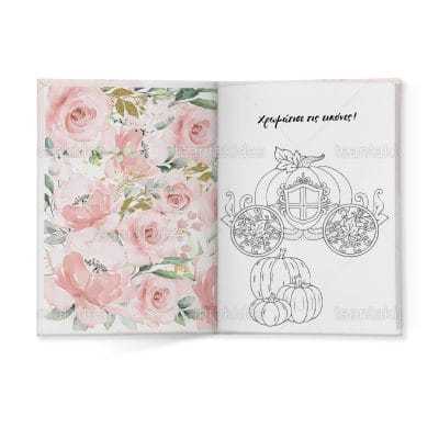 ΣΚΛΗΡΟ ΚΑΠΑΚΙ ΔΙΠΤΥΧΟ ΜΕ ΕΝΘΕΤΟ ΤΕΤΡΑΣΕΛΙΔΟ – TS272