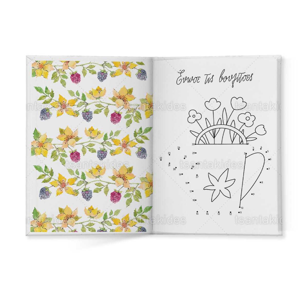 ΣΚΛΗΡΟ ΚΑΠΑΚΙ ΔΙΠΤΥΧΟ ΜΕ ΕΝΘΕΤΟ ΤΕΤΡΑΣΕΛΙΔΟ – TS417