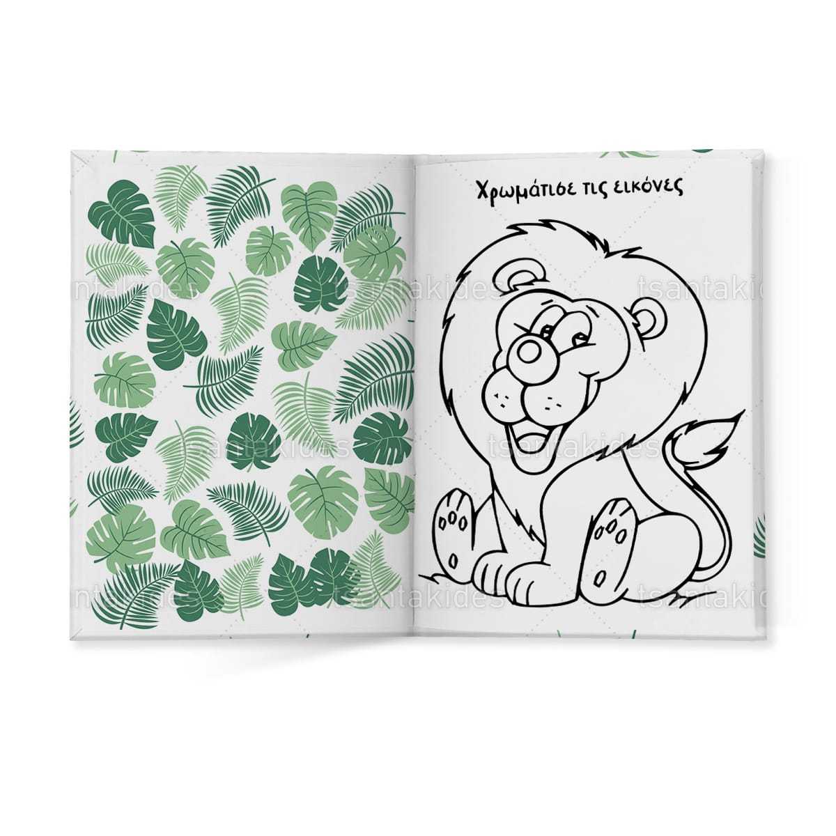 ΣΚΛΗΡΟ ΚΑΠΑΚΙ ΔΙΠΤΥΧΟ ΜΕ ΕΝΘΕΤΟ ΤΕΤΡΑΣΕΛΙΔΟ – TS430