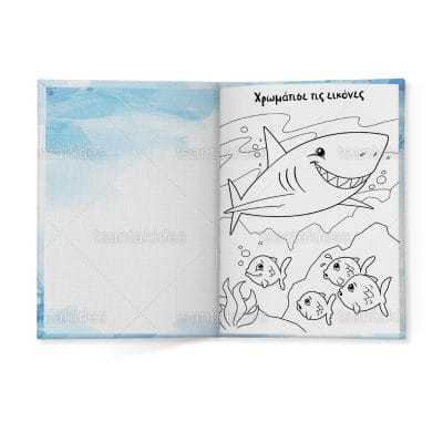 ΣΚΛΗΡΟ ΚΑΠΑΚΙ ΔΙΠΤΥΧΟ ΜΕ ΕΝΘΕΤΟ ΤΕΤΡΑΣΕΛΙΔΟ – TS432