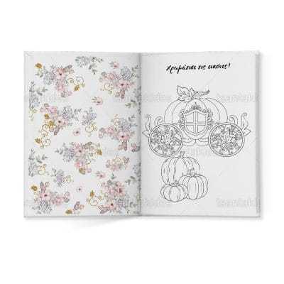 ΣΚΛΗΡΟ ΚΑΠΑΚΙ ΔΙΠΤΥΧΟ ΜΕ ΕΝΘΕΤΟ ΤΕΤΡΑΣΕΛΙΔΟ – TS447