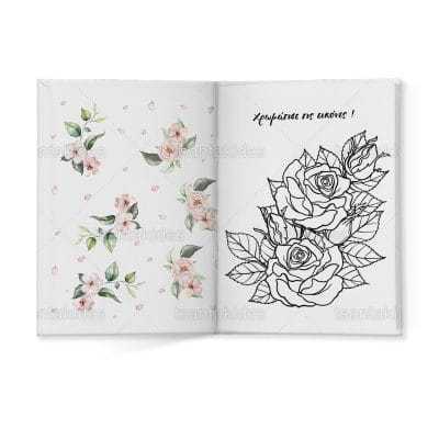 ΣΚΛΗΡΟ ΚΑΠΑΚΙ ΔΙΠΤΥΧΟ ΜΕ ΕΝΘΕΤΟ ΤΕΤΡΑΣΕΛΙΔΟ – TS448