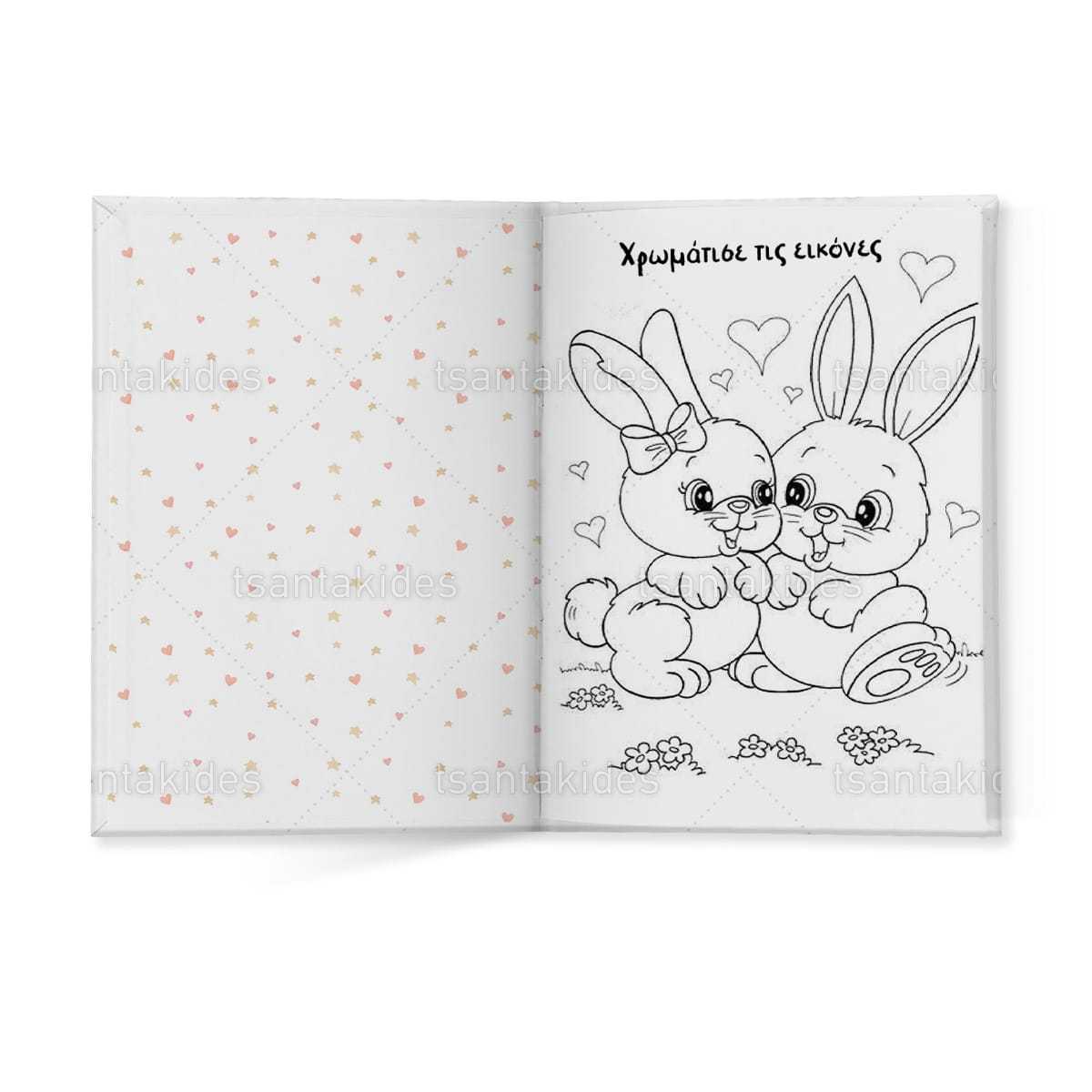 ΣΚΛΗΡΟ ΚΑΠΑΚΙ ΔΙΠΤΥΧΟ ΜΕ ΕΝΘΕΤΟ ΤΕΤΡΑΣΕΛΙΔΟ – TS456