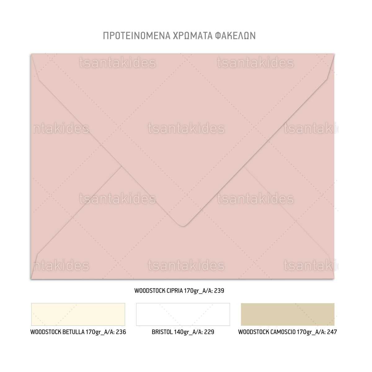 ΠΡΟΣΚΛΗΤΗΡΙΟ ΒΑΠΤΙΣΗΣ – TS769