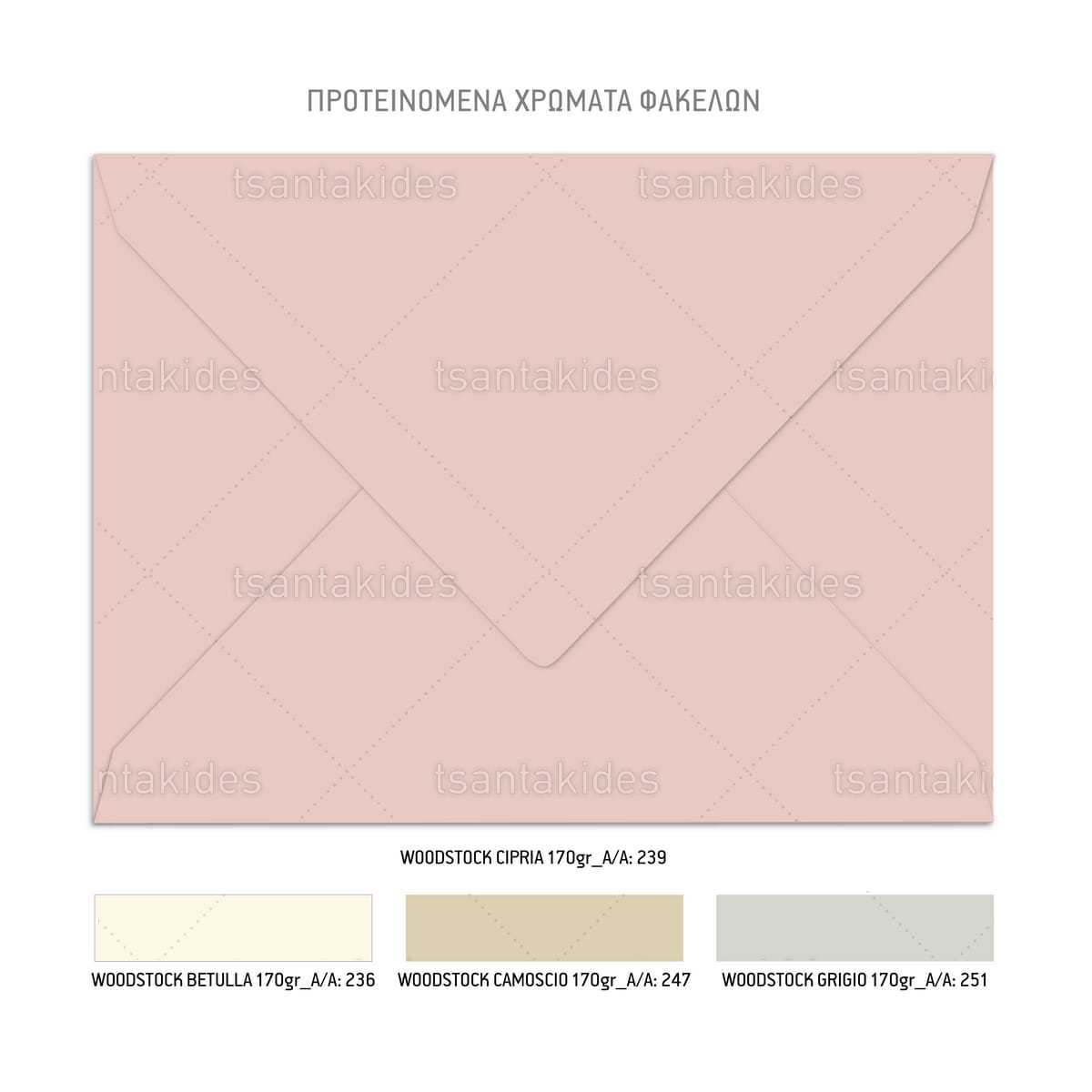 ΠΡΟΣΚΛΗΤΗΡΙΟ ΒΑΠΤΙΣΗΣ – TS780