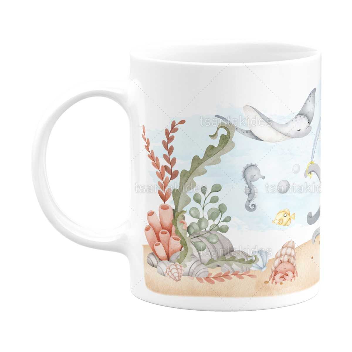 ΚΕΡΑΜΙΚΗ ΚΟΥΠΑ – TS749