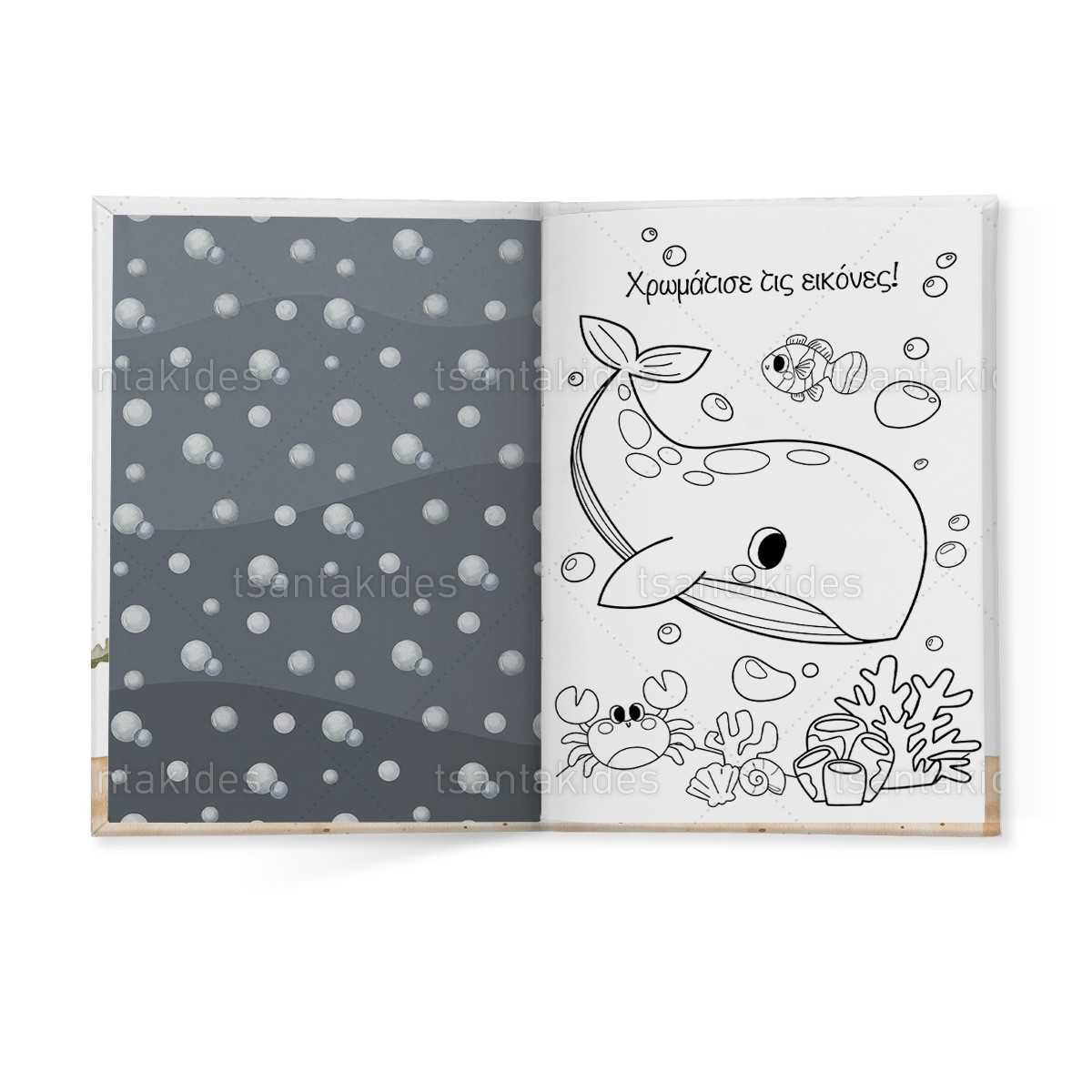 ΣΚΛΗΡΟ ΚΑΠΑΚΙ ΔΙΠΤΥΧΟ ΜΕ ΕΝΘΕΤΟ ΤΕΤΡΑΣΕΛΙΔΟ – TS749