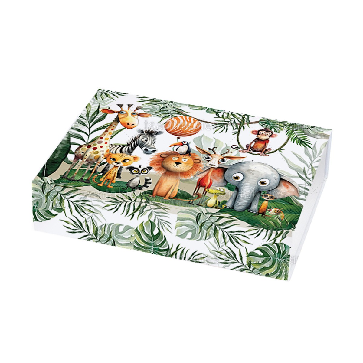 ΚΟΥΤΙ ΣΥΡΤΑΡΩΤΟ ΚΤ15 – TS748