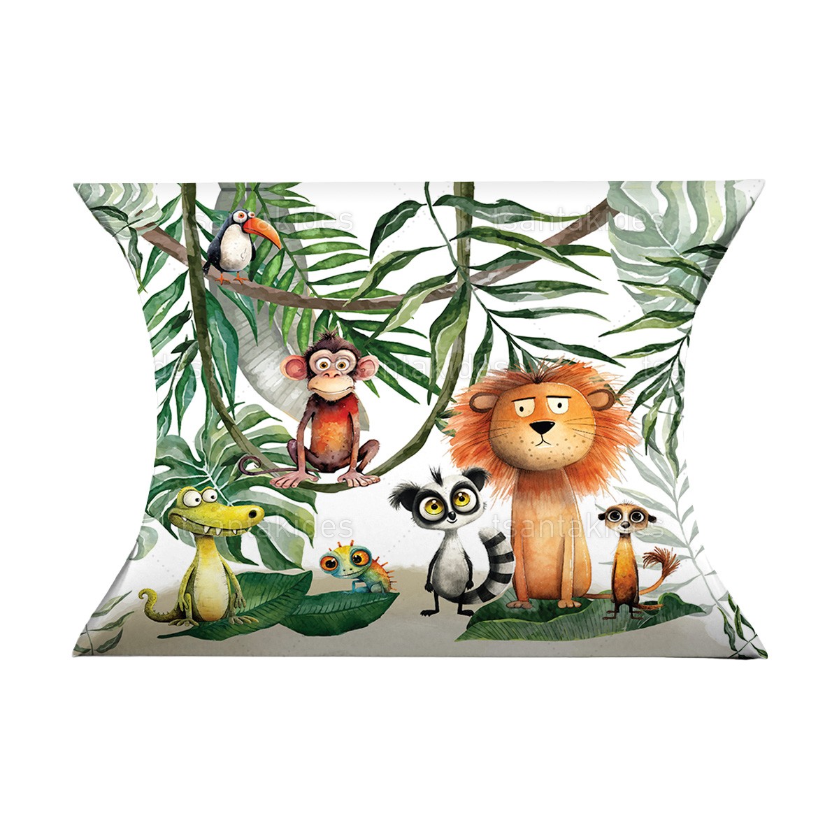 ΚΟΥΤΙ ΚΤ41 – TS748