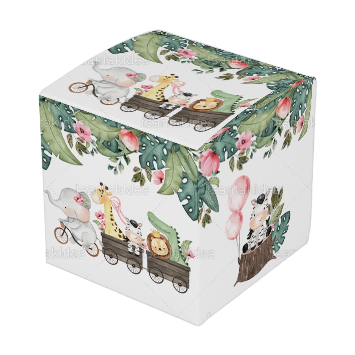 ΚΟΥΤΙ ΚΤ30 – TS776