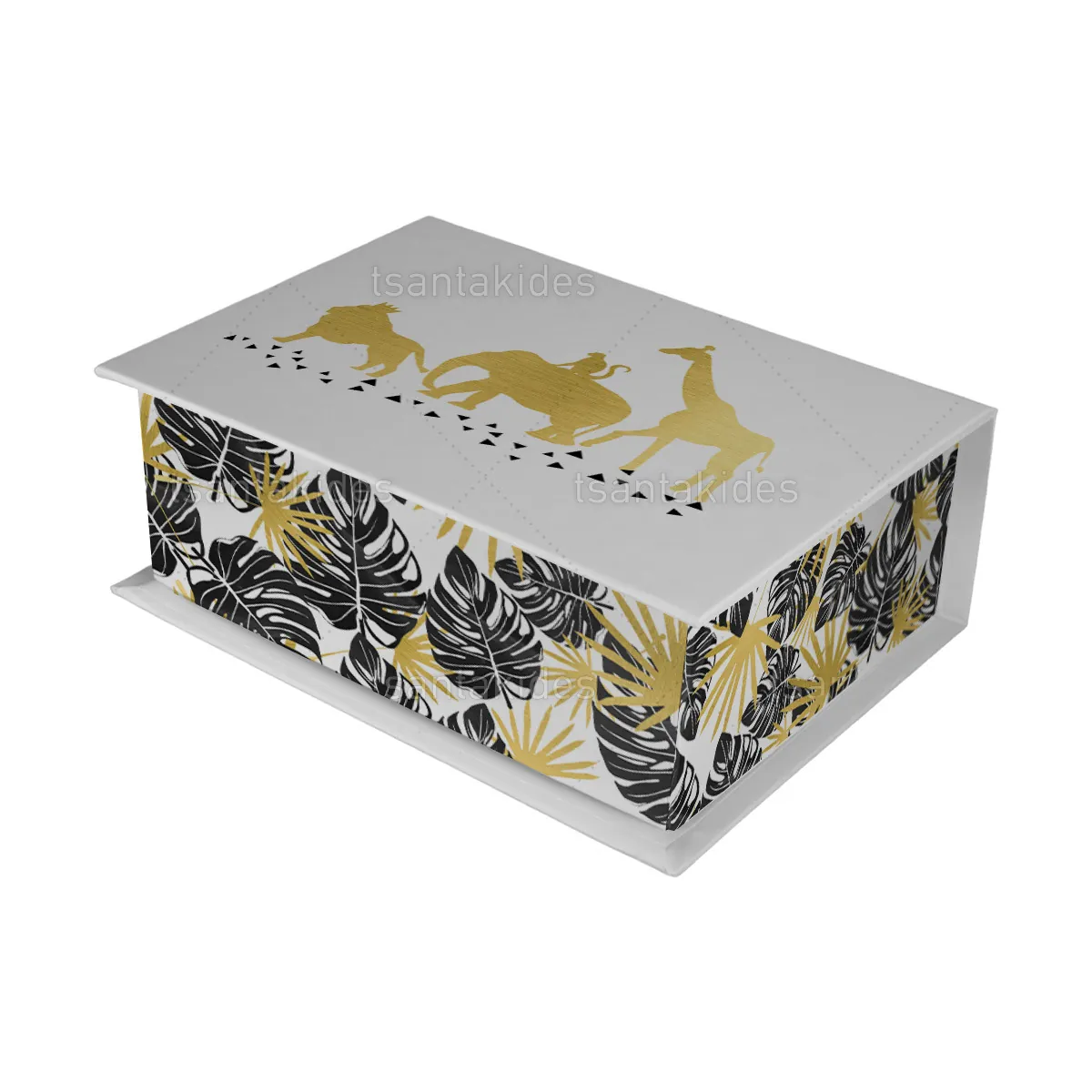 ΚΟΥΤΙ ΚΑΣΕΤΙΝΑ ΚΤ36 – TS129