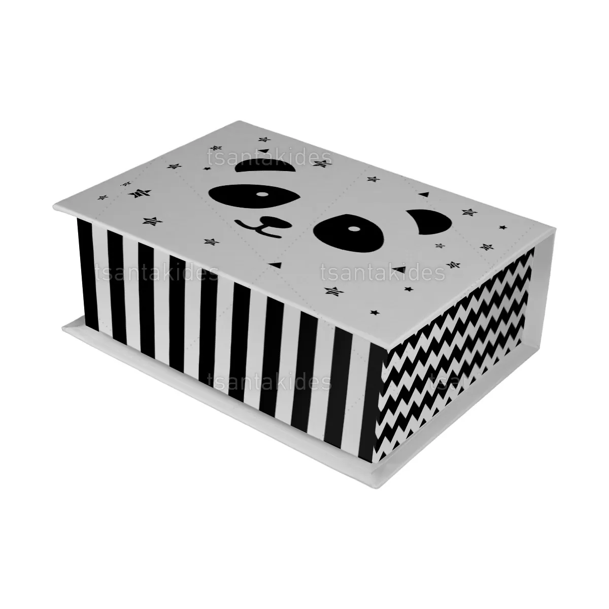 ΚΟΥΤΙ ΚΑΣΕΤΙΝΑ ΚΤ36 – TS132