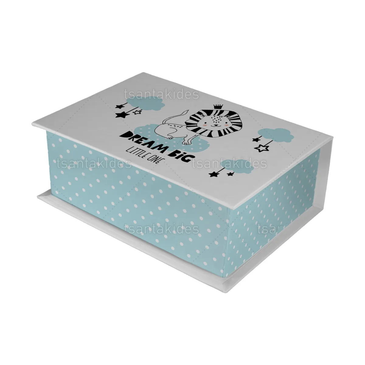 ΚΟΥΤΙ ΚΑΣΕΤΙΝΑ ΚΤ36 – TS201