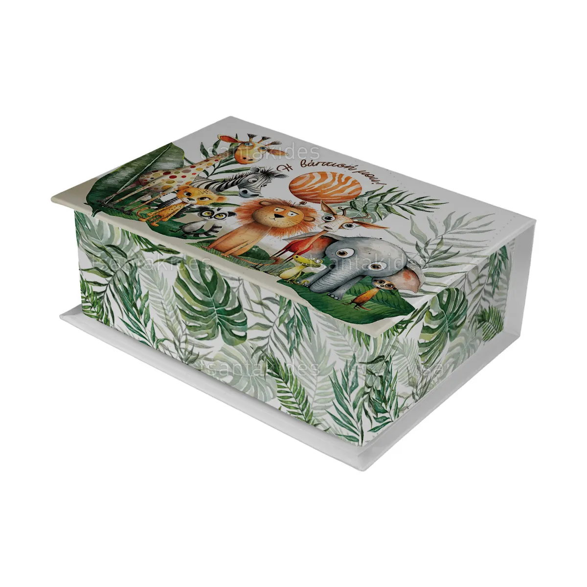 ΚΟΥΤΙ ΚΑΣΕΤΙΝΑ ΚΤ36 – TS748