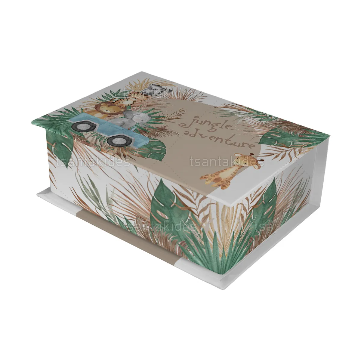 ΚΟΥΤΙ ΚΑΣΕΤΙΝΑ ΚΤ36 – TS750