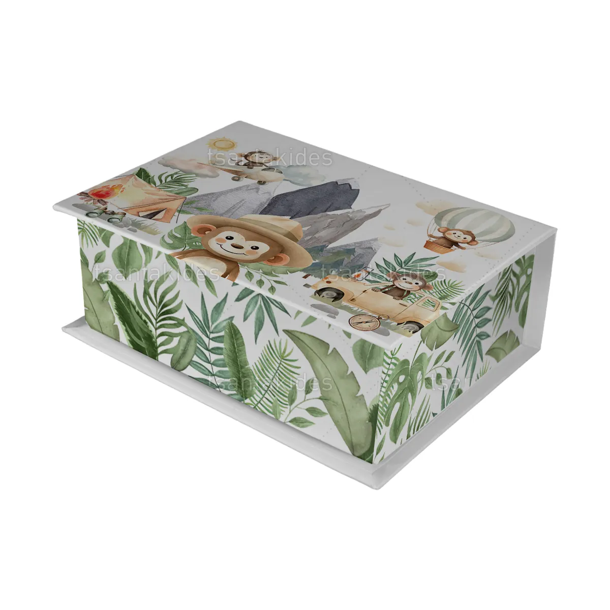 ΚΟΥΤΙ ΚΑΣΕΤΙΝΑ ΚΤ36 – TS754