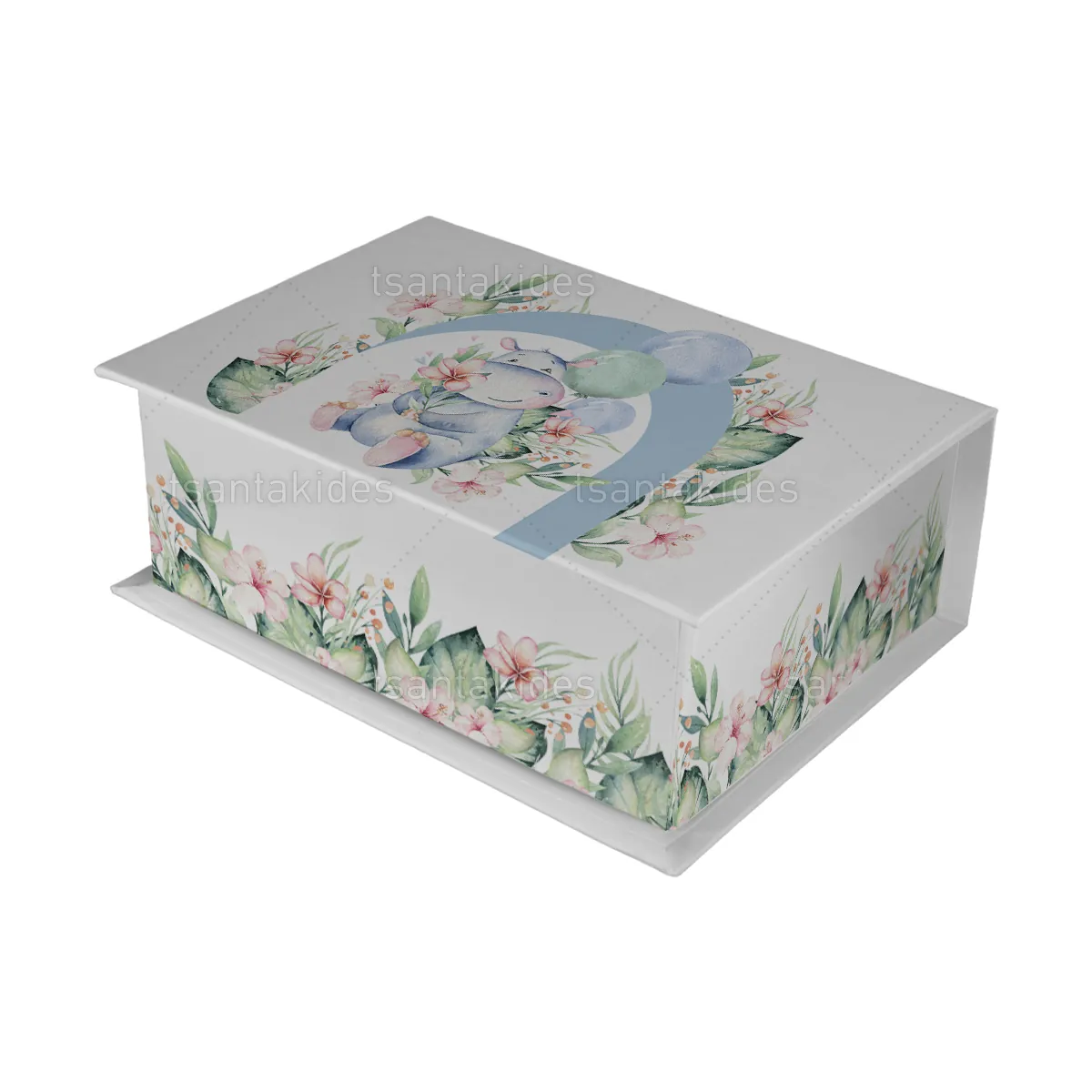 ΚΟΥΤΙ ΚΑΣΕΤΙΝΑ ΚΤ36 – TS755