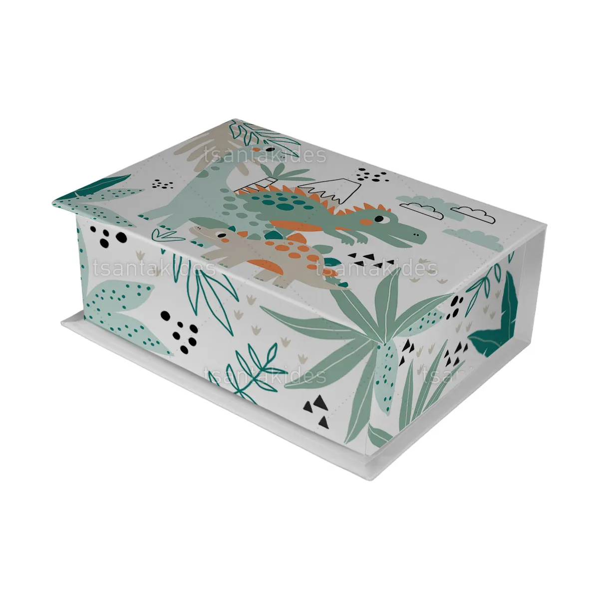 ΚΟΥΤΙ ΚΑΣΕΤΙΝΑ ΚΤ36 – TS759