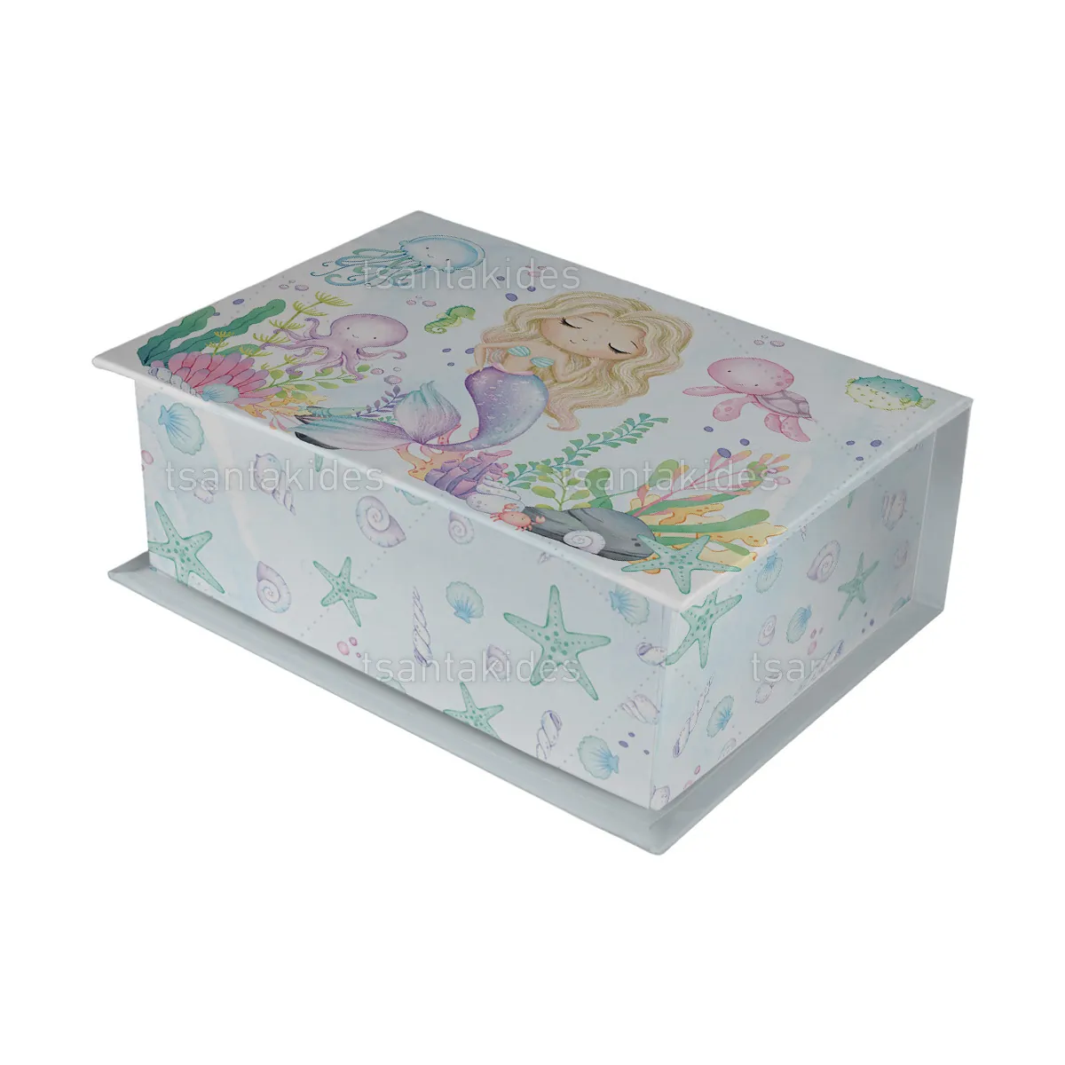 ΚΟΥΤΙ ΚΑΣΕΤΙΝΑ ΚΤ36 – TS768