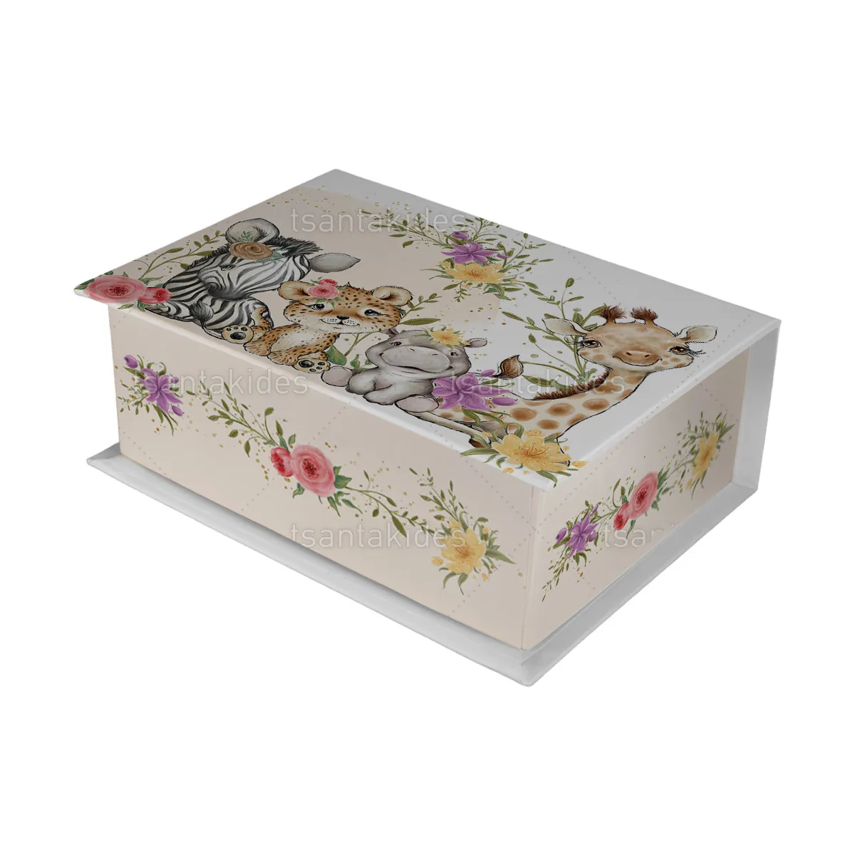 ΚΟΥΤΙ ΚΑΣΕΤΙΝΑ ΚΤ36 – TS773