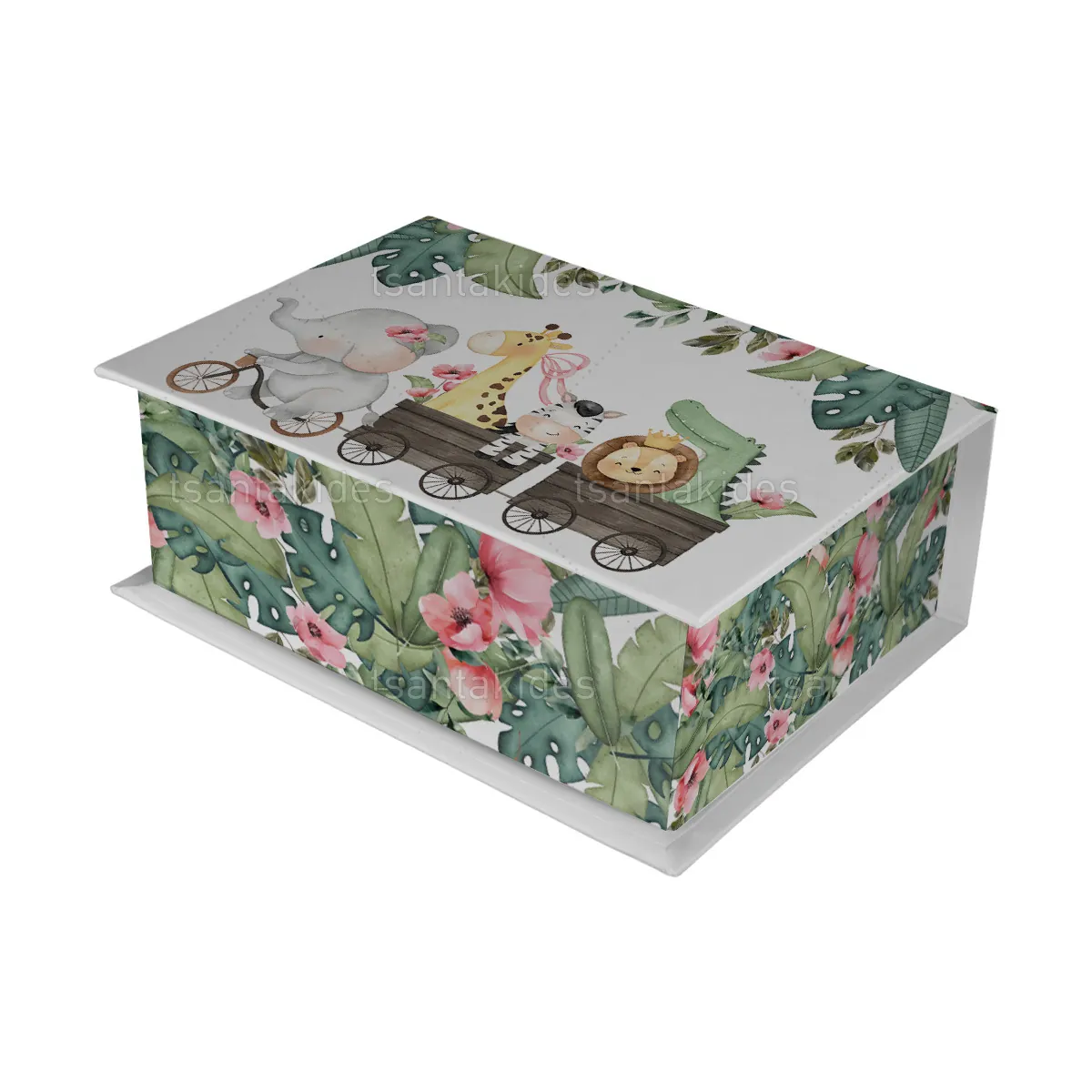 ΚΟΥΤΙ ΚΑΣΕΤΙΝΑ ΚΤ36 – TS776