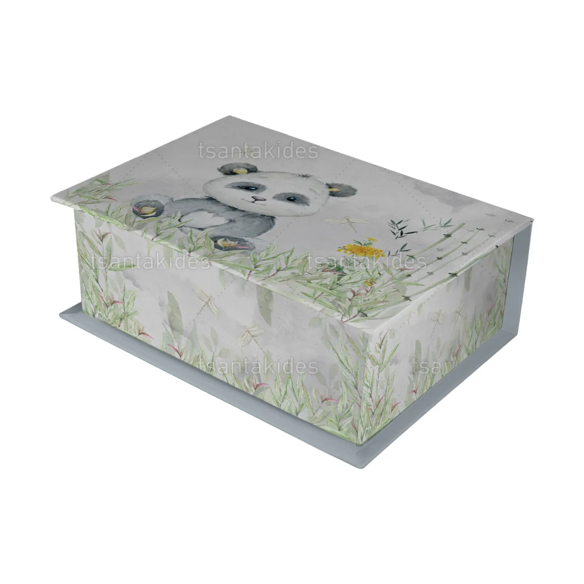 ΚΟΥΤΙ ΚΑΣΕΤΙΝΑ ΚΤ36 – TS260