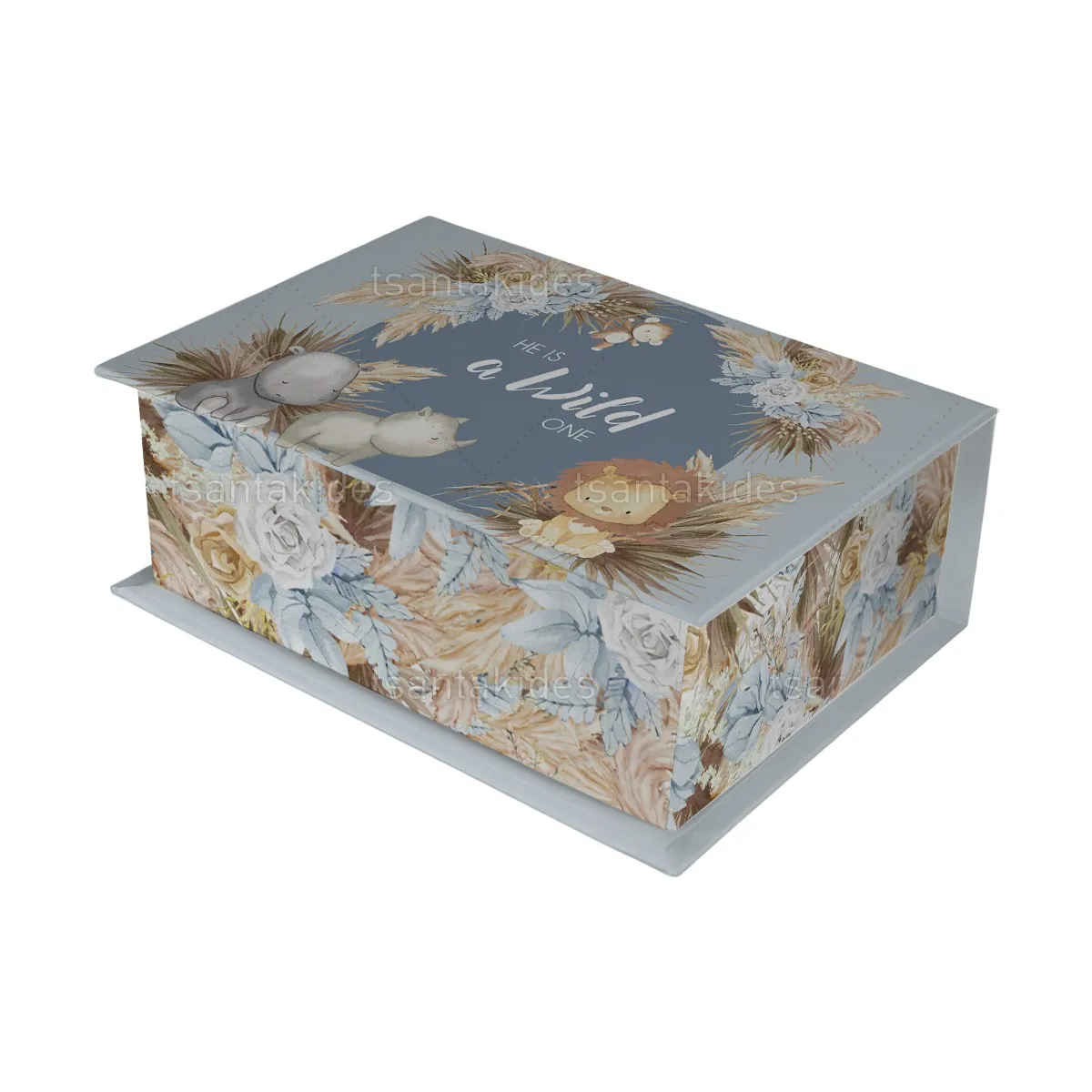 ΚΟΥΤΙ ΚΑΣΕΤΙΝΑ ΚΤ36 – TS553