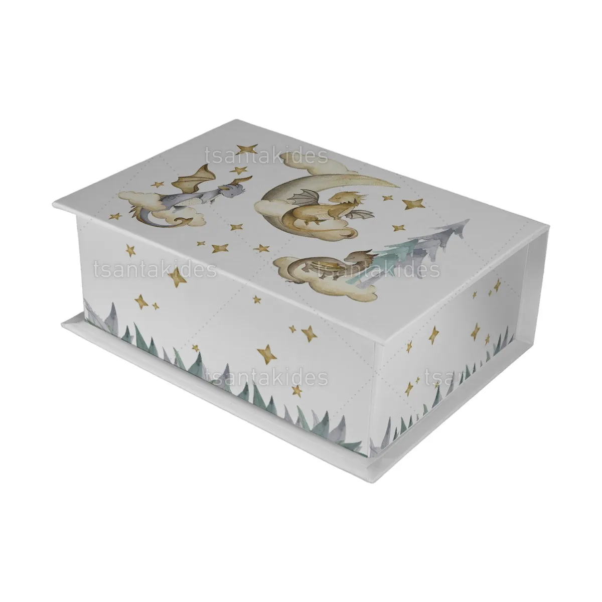 ΚΟΥΤΙ ΚΑΣΕΤΙΝΑ ΚΤ36 – TS555