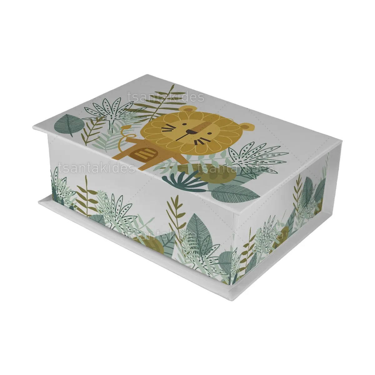 ΚΟΥΤΙ ΚΑΣΕΤΙΝΑ ΚΤ36 – TS559