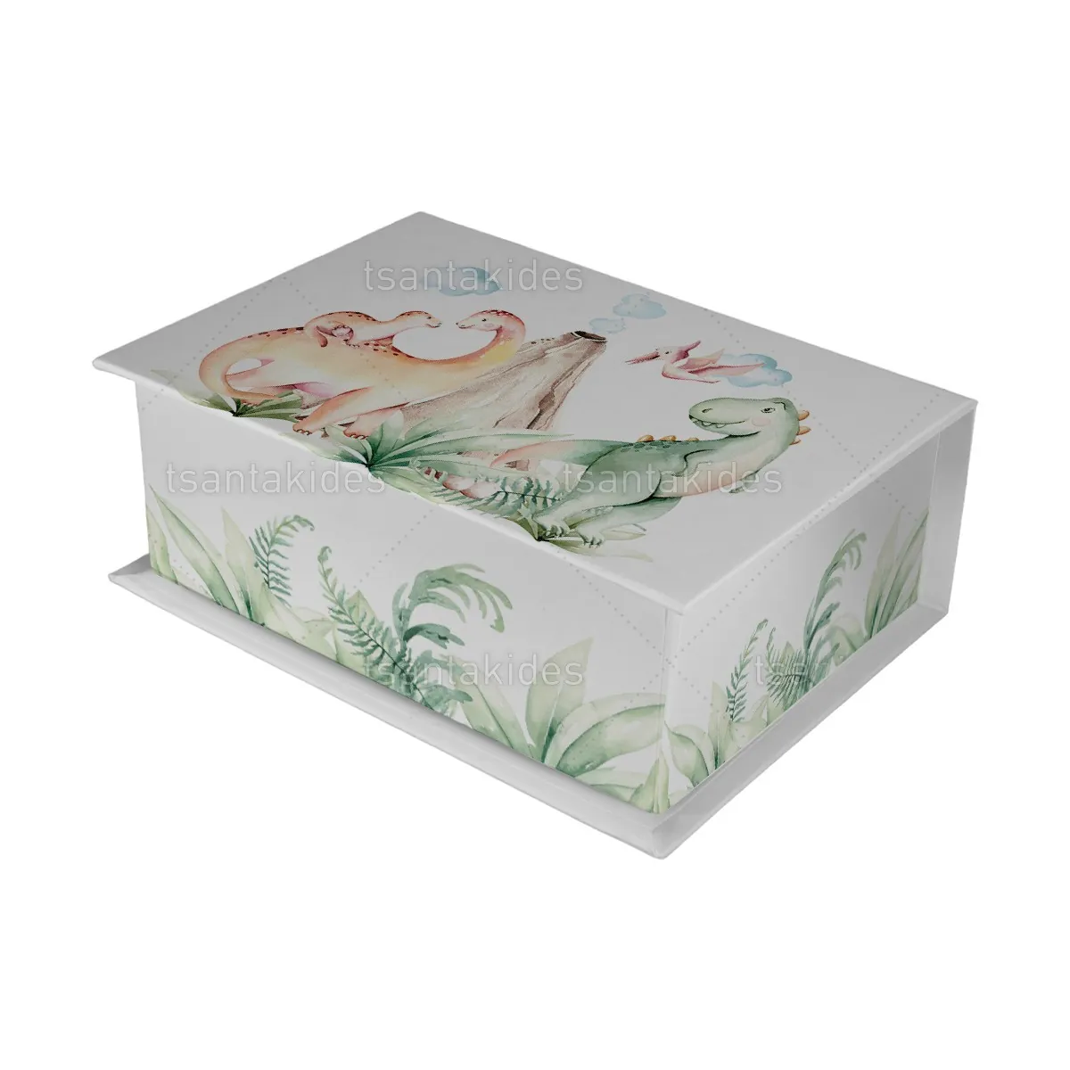 ΚΟΥΤΙ ΚΑΣΕΤΙΝΑ ΚΤ36 – TS562