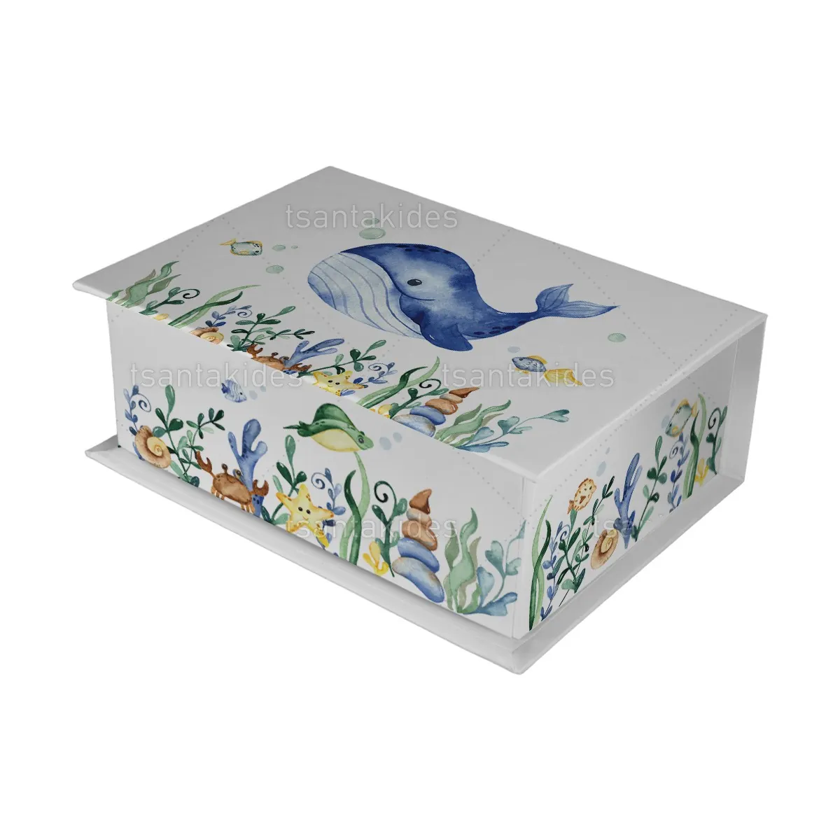 ΚΟΥΤΙ ΚΑΣΕΤΙΝΑ ΚΤ36 – TS564