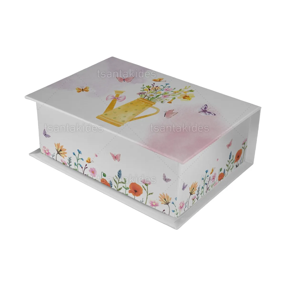 ΚΟΥΤΙ ΚΑΣΕΤΙΝΑ ΚΤ36 – TS587